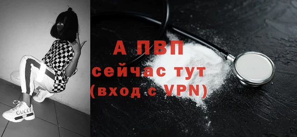 стаф Абинск