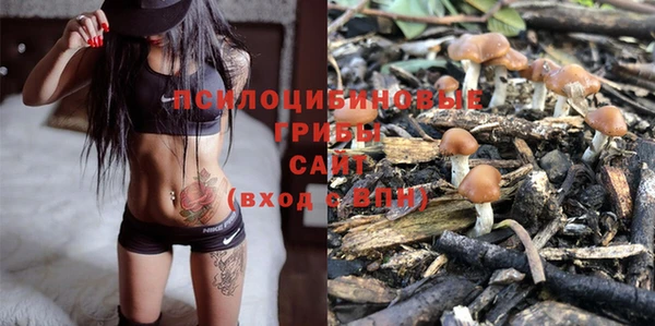 стаф Абинск