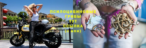 стаф Абинск