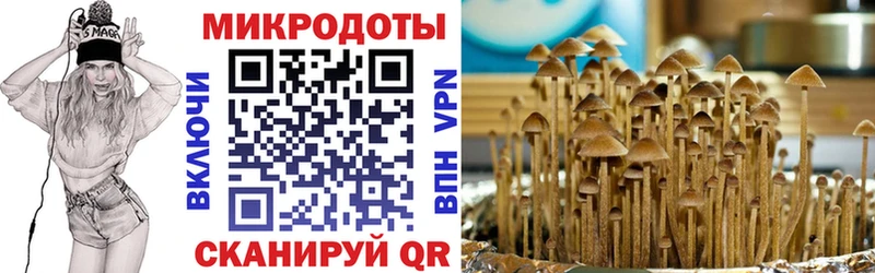 Псилоцибиновые грибы Magic Shrooms  Златоуст 